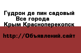 Гудрон де пин садовый - Все города  »    . Крым,Красноперекопск